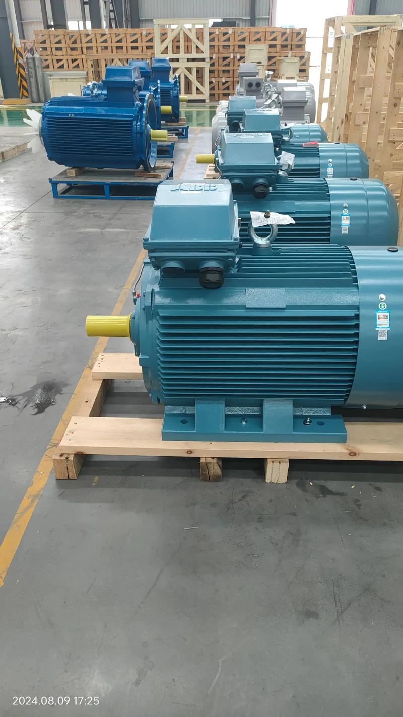 雙龍電機(jī)任你選 品質(zhì)與動(dòng)力的完美融合